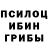 COCAIN Columbia Ilya Shebarshov