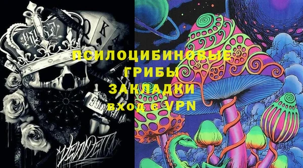 сатива Михайловск