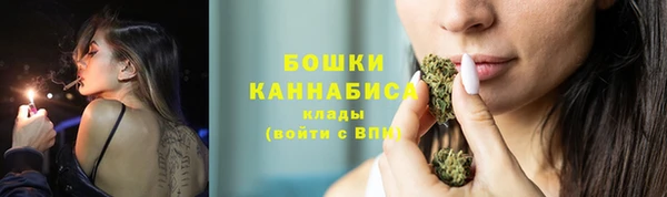 сатива Михайловск